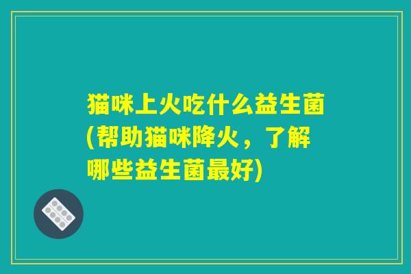 猫咪上火吃什么益生菌(帮助猫咪降火,了解哪些益生菌最好) 猫咪上火吃什么益生菌(帮助猫咪降火,了解哪些益生菌最好)