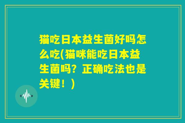 猫吃日本益生菌好吗怎么吃(猫咪能吃日本益生菌吗?正确吃法也是关键!) 猫吃日本益生菌好吗怎么吃(猫咪能吃日本益生菌吗?正确吃法也是关键!)