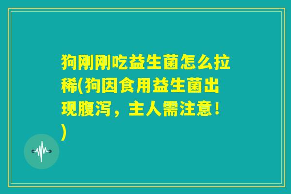 狗刚刚吃益生菌怎么拉稀(狗因食用益生菌出现腹泻,主人需注意!) 狗刚刚吃益生菌怎么拉稀(狗因食用益生菌出现腹泻,主人需注意!)