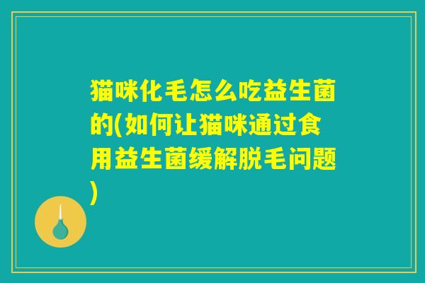 猫咪化毛怎么吃益生菌的(如何让猫咪通过食用益生菌缓解脱毛问题) 猫咪化毛怎么吃益生菌的(如何让猫咪通过食用益生菌缓解脱毛问题)