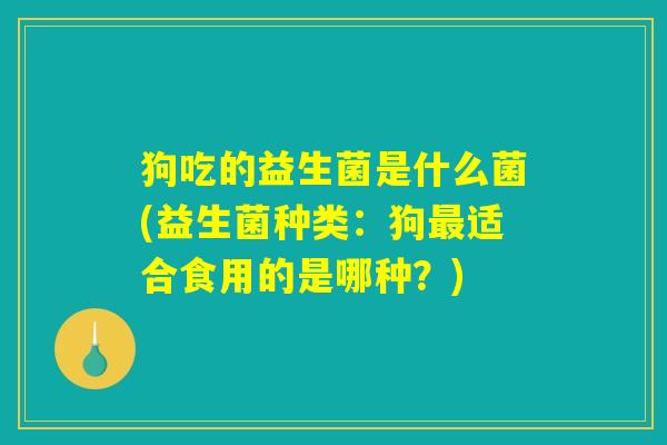 狗吃的益生菌是什么菌(益生菌种类:狗最适合食用的是哪种?) 狗吃的益生菌是什么菌(益生菌种类:狗最适合食用的是哪种?)
