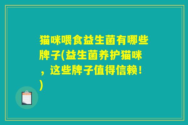 猫咪喂食益生菌有哪些牌子(益生菌养护猫咪,这些牌子值得信赖!) 猫咪喂食益生菌有哪些牌子(益生菌养护猫咪,这些牌子值得信赖!)