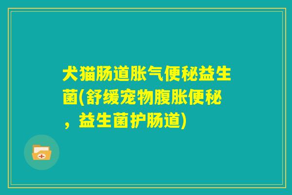 犬猫肠道胀气便秘益生菌(舒缓宠物腹胀便秘,益生菌护肠道) 犬猫肠道胀气便秘益生菌(舒缓宠物腹胀便秘,益生菌护肠道)