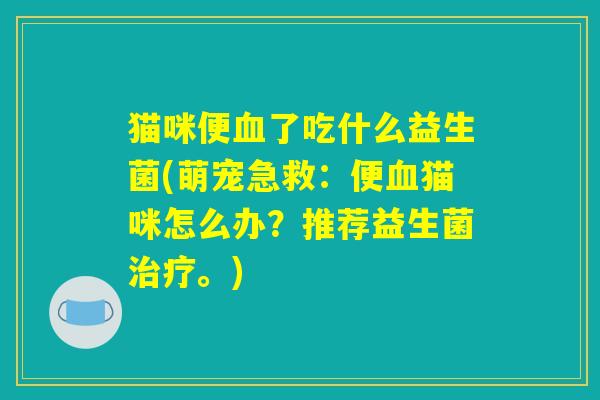 猫咪便血了吃什么益生菌(萌宠急救:便血猫咪怎么办?推荐益生菌治疗。) 猫咪便血了吃什么益生菌(萌宠急救:便血猫咪怎么办?推荐益生菌治疗。)