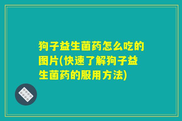 狗子益生菌药怎么吃的图片(快速了解狗子益生菌药的服用方法) 狗子益生菌药怎么吃的图片(快速了解狗子益生菌药的服用方法)