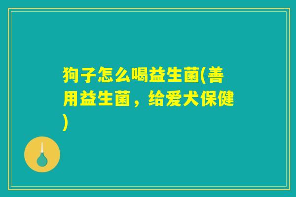 狗子怎么喝益生菌(善用益生菌,给爱犬保健) 狗子怎么喝益生菌(善用益生菌,给爱犬保健)