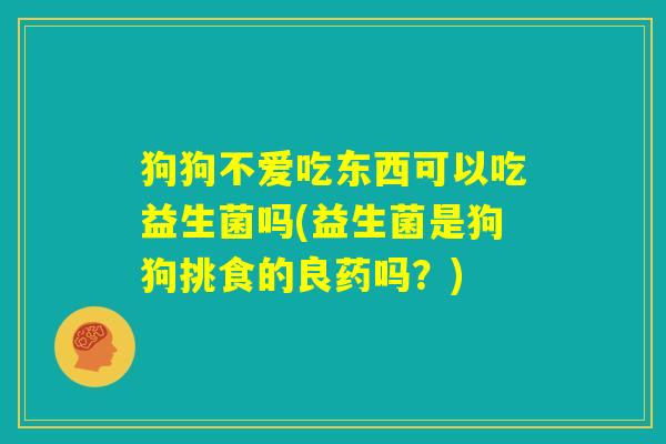 狗狗不爱吃东西可以吃益生菌吗(益生菌是狗狗挑食的良药吗?) 狗狗不爱吃东西可以吃益生菌吗(益生菌是狗狗挑食的良药吗?)