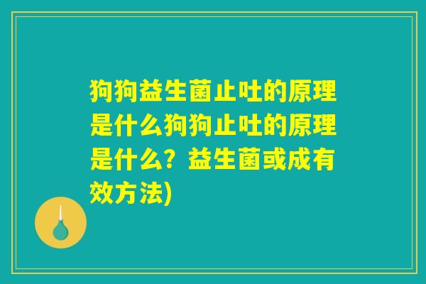 狗狗益生菌止吐的原理是什么狗狗止吐的原理是什么？益生菌或成有效方法)