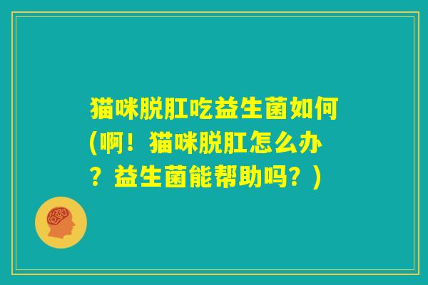 猫咪脱肛吃益生菌如何(啊！猫咪脱肛怎么办？益生菌能帮助吗？)