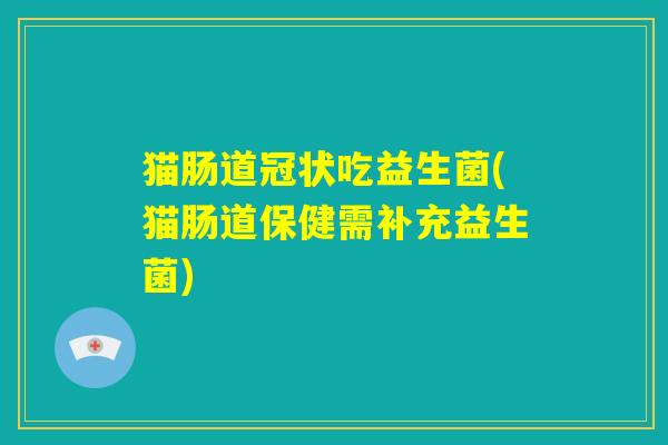 猫肠道冠状吃益生菌(猫肠道保健需补充益生菌) 猫肠道冠状吃益生菌(猫肠道保健需补充益生菌)