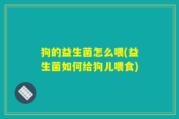 狗的益生菌怎么喂(益生菌如何给狗儿喂食)