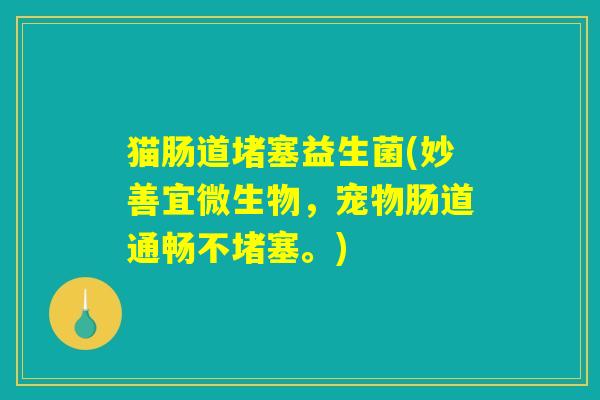 猫肠道堵塞益生菌(妙善宜微生物，宠物肠道通畅不堵塞。)