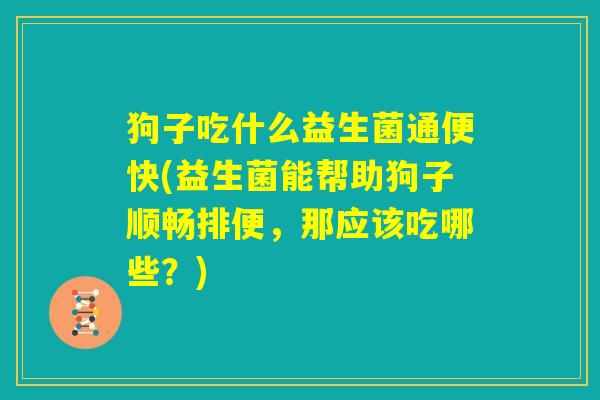 狗子吃什么益生菌通便快(益生菌能帮助狗子顺畅排便，那应该吃哪些？)
