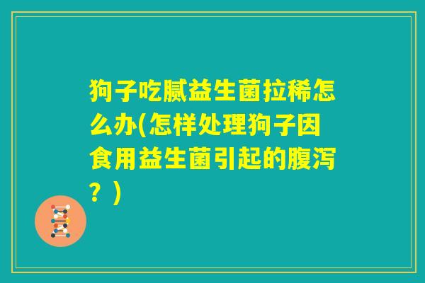 狗子吃腻益生菌拉稀怎么办(怎样处理狗子因食用益生菌引起的腹泻？)