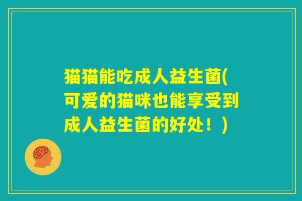 猫猫能吃成人益生菌(可爱的猫咪也能享受到成人益生菌的好处!) 猫猫能吃成人益生菌(可爱的猫咪也能享受到成人益生菌的好处!)