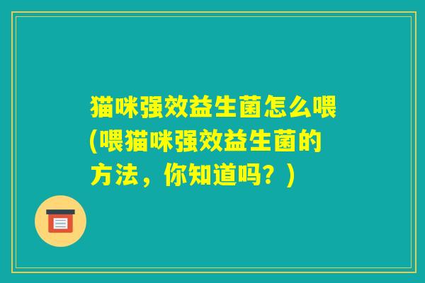 猫咪强效益生菌怎么喂(喂猫咪强效益生菌的方法,你知道吗?) 猫咪强效益生菌怎么喂(喂猫咪强效益生菌的方法,你知道吗?)