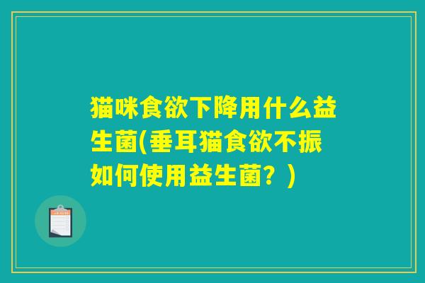 猫咪食欲下降用什么益生菌(垂耳猫食欲不振如何使用益生菌?) 猫咪食欲下降用什么益生菌(垂耳猫食欲不振如何使用益生菌?)