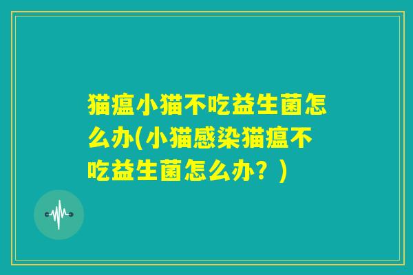 猫瘟小猫不吃益生菌怎么办(小猫感染猫瘟不吃益生菌怎么办?) 猫瘟小猫不吃益生菌怎么办(小猫感染猫瘟不吃益生菌怎么办?)