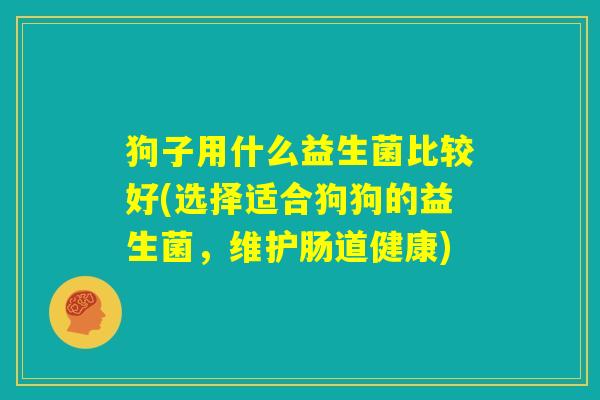 狗子用什么益生菌比较好(选择适合狗狗的益生菌，维护肠道健康)