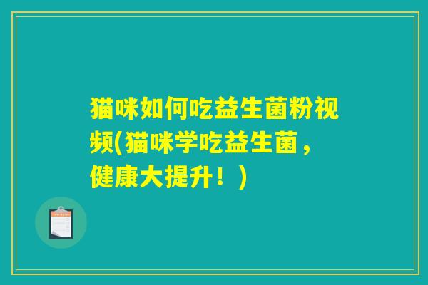 猫咪如何吃益生菌粉视频(猫咪学吃益生菌，健康大提升！)
