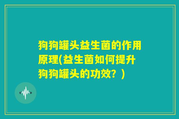 狗狗罐头益生菌的作用原理(益生菌如何提升狗狗罐头的功效？)