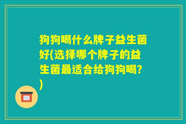 狗狗喝什么牌子益生菌好(选择哪个牌子的益生菌最适合给狗狗喝？)