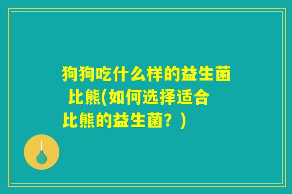 狗狗吃什么样的益生菌 比熊(如何选择适合比熊的益生菌?) 狗狗吃什么样的益生菌 比熊(如何选择适合比熊的益生菌?)