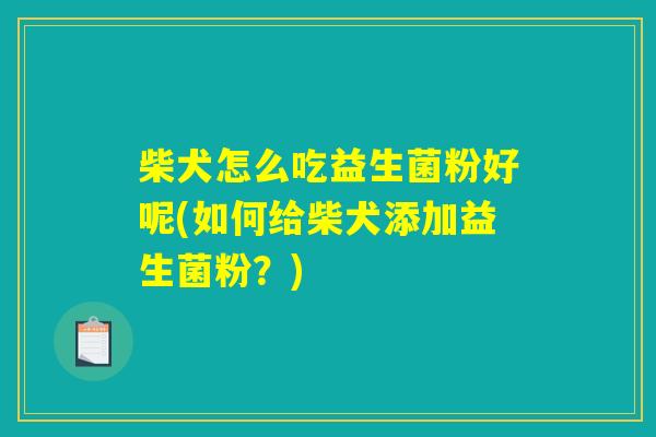 柴犬怎么吃益生菌粉好呢(如何给柴犬添加益生菌粉？)