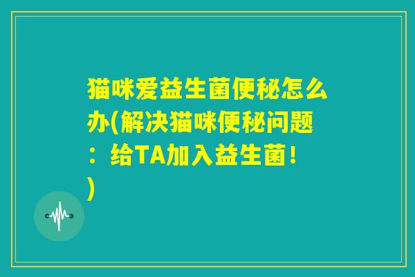 猫咪爱益生菌便秘怎么办(解决猫咪便秘问题：给TA加入益生菌！)