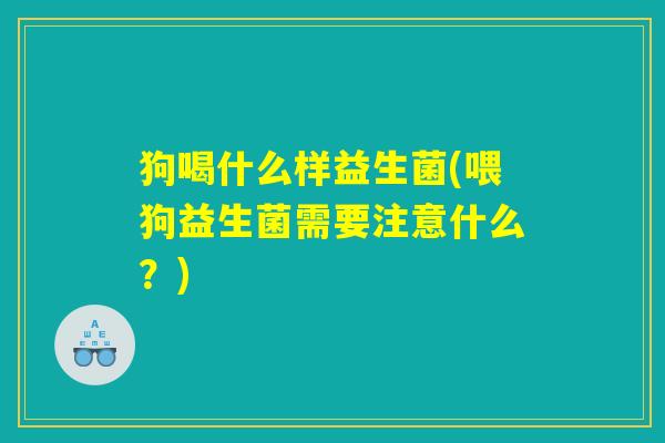 狗喝什么样益生菌(喂狗益生菌需要注意什么？)