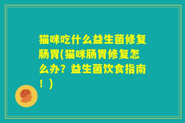 猫咪吃什么益生菌修复肠胃(猫咪肠胃修复怎么办？益生菌饮食指南！)