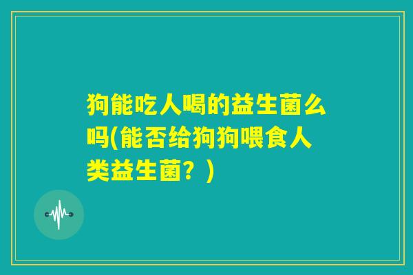 狗能吃人喝的益生菌么吗(能否给狗狗喂食人类益生菌？)
