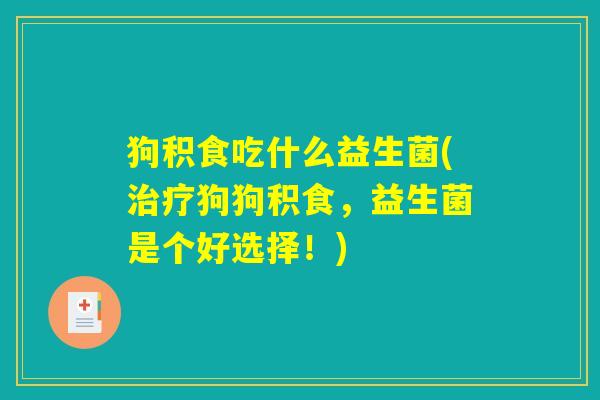 狗积食吃什么益生菌(治疗狗狗积食,益生菌是个好选择!) 狗积食吃什么益生菌(治疗狗狗积食,益生菌是个好选择!)