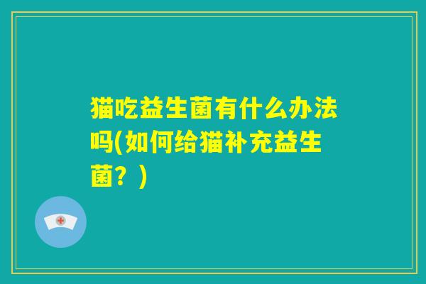猫吃益生菌有什么办法吗(如何给猫补充益生菌？)