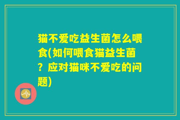 猫不爱吃益生菌怎么喂食(如何喂食猫益生菌？应对猫咪不爱吃的问题)