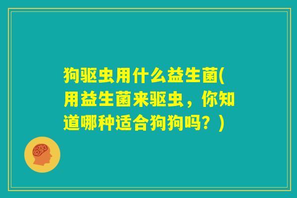 狗驱虫用什么益生菌(用益生菌来驱虫，你知道哪种适合狗狗吗？)