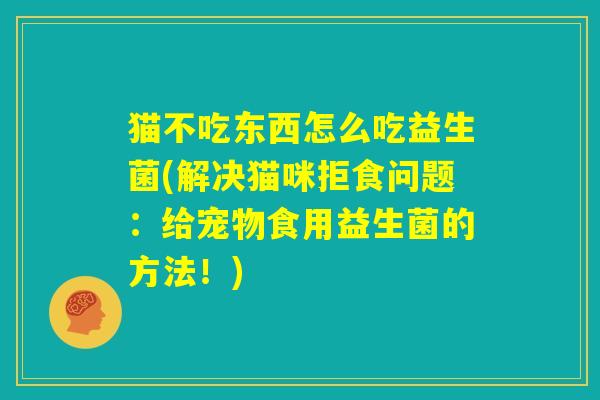 猫不吃东西怎么吃益生菌(解决猫咪拒食问题：给宠物食用益生菌的方法！)