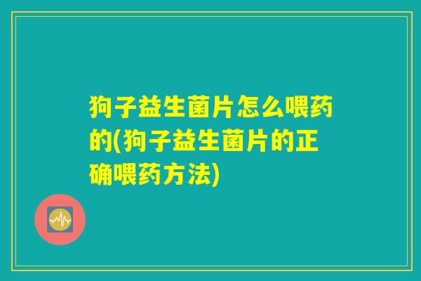 狗子益生菌片怎么喂药的(狗子益生菌片的正确喂药方法)