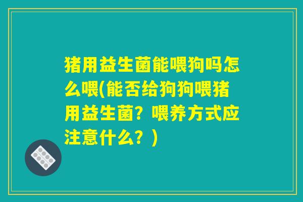 猪用益生菌能喂狗吗怎么喂(能否给狗狗喂猪用益生菌?喂养方式应注意什么?) 猪用益生菌能喂狗吗怎么喂(能否给狗狗喂猪用益生菌?喂养方式应注意什么?)