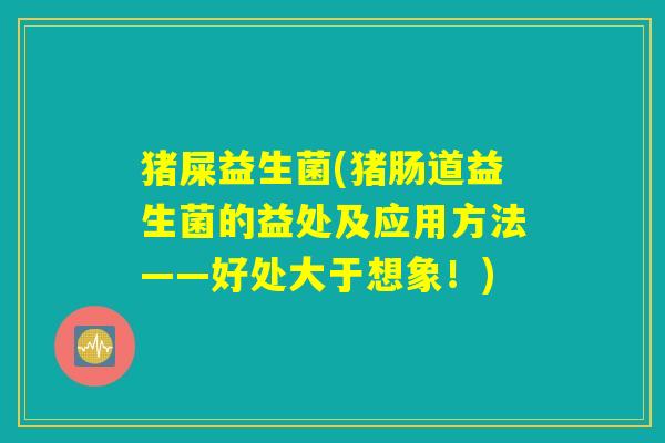 猪屎益生菌(猪肠道益生菌的益处及应用方法——好处大于想象!) 猪屎益生菌(猪肠道益生菌的益处及应用方法——好处大于想象!)