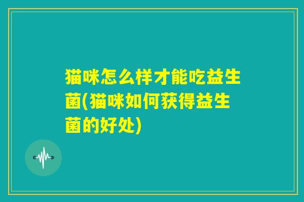 猫咪怎么样才能吃益生菌(猫咪如何获得益生菌的好处) 猫咪怎么样才能吃益生菌(猫咪如何获得益生菌的好处)