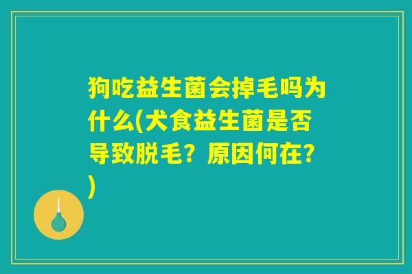 狗吃益生菌会掉毛吗为什么(犬食益生菌是否导致脱毛？原因何在？)