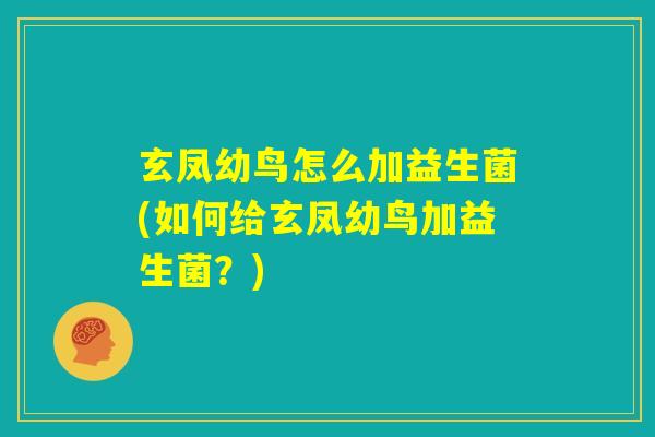 玄凤幼鸟怎么加益生菌(如何给玄凤幼鸟加益生菌?) 玄凤幼鸟怎么加益生菌(如何给玄凤幼鸟加益生菌?)