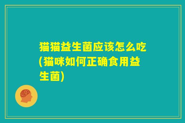 猫猫益生菌应该怎么吃(猫咪如何正确食用益生菌)