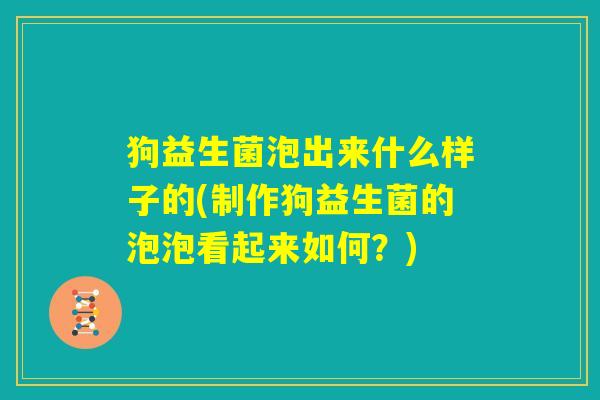 狗益生菌泡出来什么样子的(制作狗益生菌的泡泡看起来如何？)