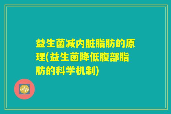 益生菌减内脏脂肪的原理(益生菌降低腹部脂肪的科学机制)