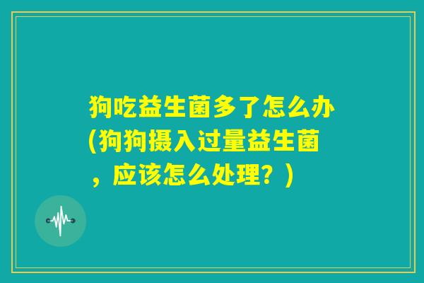 狗吃益生菌多了怎么办(狗狗摄入过量益生菌，应该怎么处理？)