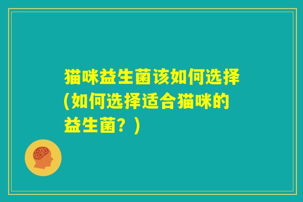 猫咪益生菌该如何选择(如何选择适合猫咪的益生菌？)