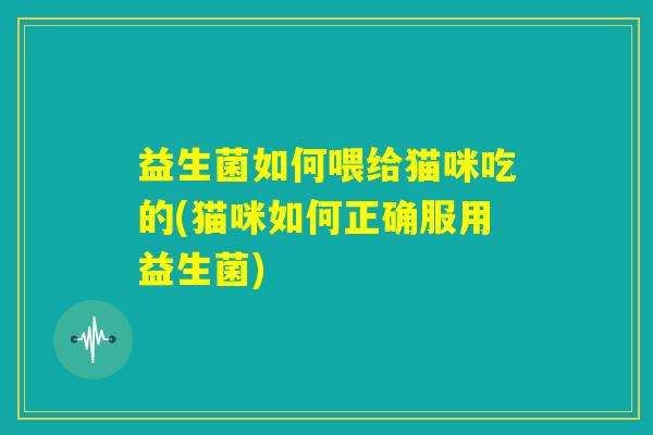 益生菌如何喂给猫咪吃的(猫咪如何正确服用益生菌)