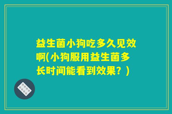 益生菌小狗吃多久见效啊(小狗服用益生菌多长时间能看到效果?) 益生菌小狗吃多久见效啊(小狗服用益生菌多长时间能看到效果?)